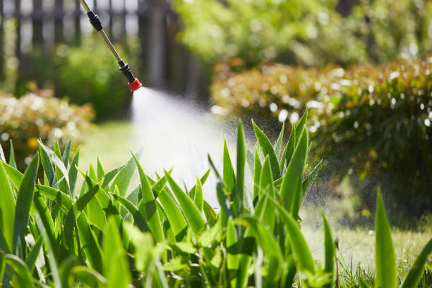 24/7 Emergency Ant Control experts in Chaparral, NM